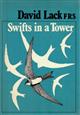 Swifts in a Tower
