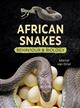 African Snakes: Behaviour and Biology