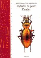 Hybrides du genre Carabus