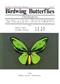 Birdwing Butterflies. Ornithoptera