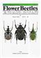 Flower Beetles