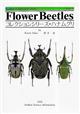 Flower Beetles