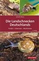 Die Landschnecken Deutschlands: Finden, Erkennen, Bestimmen