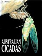 Australian Cicadas