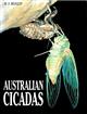 Australian Cicadas