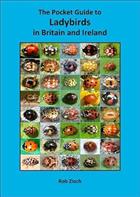 The Pocket Guide to Ladybirds in Britain and Ireland