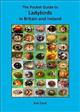 The Pocket Guide to Ladybirds in Britain and Ireland