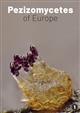 Pezizomycetes of Europe: Volume 1