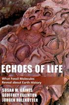 Echoes of Life: What Fossil Molecules Reveal about Earth History