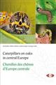 Caterpillars on oaks in central Europe | Chenilles des chênes d'Europe centrale