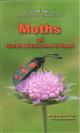 Moths of Great Britain and Ireland: A Field Guide to All the Macromoths