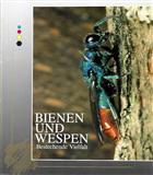 Bienen und Wespen: Bestechende Vielfalt
