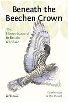 Beneath the Beechen Crown: The Honey-buzzard in Britain and Ireland