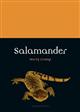 Salamander