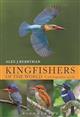 Kingfishers of the World: A photographic guide