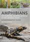Amphibians of Europe, North Africa and the Middle East: A Photographic Guide