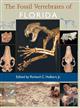 The Fossil Vertebrates of Florida