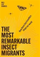 The Most Remarkable Insect Migrants: How These Tiny Travellers Shape Our World