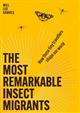 The Most Remarkable Insect Migrants: How These Tiny Travellers Shape Our World