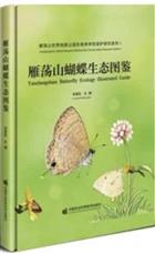 Yandangshan Butterfly Ecology Illustrated Guide | 雁荡山蝴蝶生态图鉴