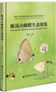 Yandangshan Butterfly Ecology Illustrated Guide | 雁荡山蝴蝶生态图鉴