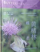 Butterflies in Huangchulin National Nature Reserve, Fujian Province | 黄楮林蝶类