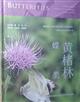 Butterflies in Huangchulin National Nature Reserve, Fujian Province | 黄楮林蝶类
