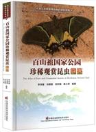 Atlas of Rare and Ornamental Insects in Baishanzu National Park | 百山祖国家公园珍稀观赏昆虫图鉴(精)