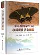 Atlas of Rare and Ornamental Insects in Baishanzu National Park | 百山祖国家公园珍稀观赏昆虫图鉴(精)