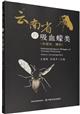 Hematophagous Midges of Yunnan Province (Diptera: Ceratopogonidae) | 云南省的吸血蠓类(双翅目蠓科)