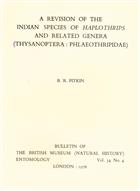 A Revision of the Indian Species of Haplothrips and Related Genera (Thysanoptera: Phlaeothripidae)