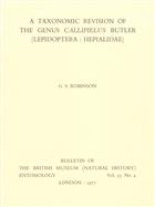A Taxonomic Revision of the genus Callipielus Butler (Lepidoptera: Hepialidae)