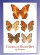 Common Butterflies of Vietnam. Field Guide
