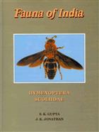 Hymenoptera: Scoliidae Fauna of India