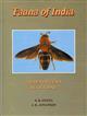 Hymenoptera: Scoliidae Fauna of India