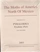 The Moths of America North of Mexico 15.5: Pyraloidea: Pyralidae: Phycitinae 5