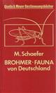 Brohmer Fauna von Deutschland: Ein Bestimmungsbuch unserer heimischen Tierwelt