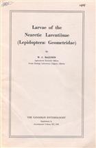 Larvae of the Nearctic Larentiinae (Lepidoptera: Geometridae)