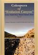 Coleoptera of Evolution Canyon Lower Nahal Oren, Mount Carmel, Israel. Part 2