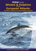 Whales and Dolphins of the European Atlantic: The Bay of Biscay and the English Channel