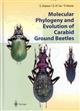 Molecular Phylogeny and Evolution of Carabid Ground Beetles