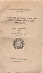 Life Histories of North American Wagtails, Shrikes, Vireos and their Allies: Order Passeriformes