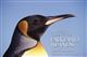 Visitor's Guide to the Falkland Islands