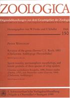 Revision of the genus Damon Koch, 1850 (Chelicerata: Amblypygi: Phrynichidae) / Sperm Transfer, spermatophore morphology, and female genitalia of three species of whip spiders: Charinus seychellarum Kraepelin, 1898, Damon medius (Herbst, 1797), and Phrynichis scaber (Gervais, 1844) (Chelicerata, Amblypygi)