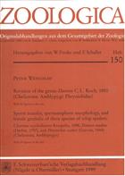 Revision of the genus Damon Koch, 1850 (Chelicerata: Amblypygi: Phrynichidae) / Sperm Transfer, spermatophore morphology, and female genitalia of three species of whip spiders: Charinus seychellarum Kraepelin, 1898, Damon medius (Herbst, 1797), and Phryni