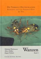 Wanzen 2: Cimicomorpha: Microphysidae (Flechtenwanzen), Miridae (Weichwanzen) (Tierwelt Deutschlands 75)