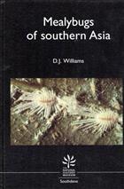 Mealybugs of southern Asia