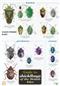 Guide to Shieldbugs of the British Isles (Identification Chart)