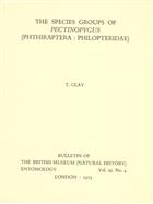 The Species groups of Pectinopygus (Phthiraptera: Philipteridae)
