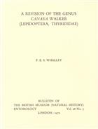 A Revision of the Genus Canaea Walker (Lepidoptera, Thyrididae)